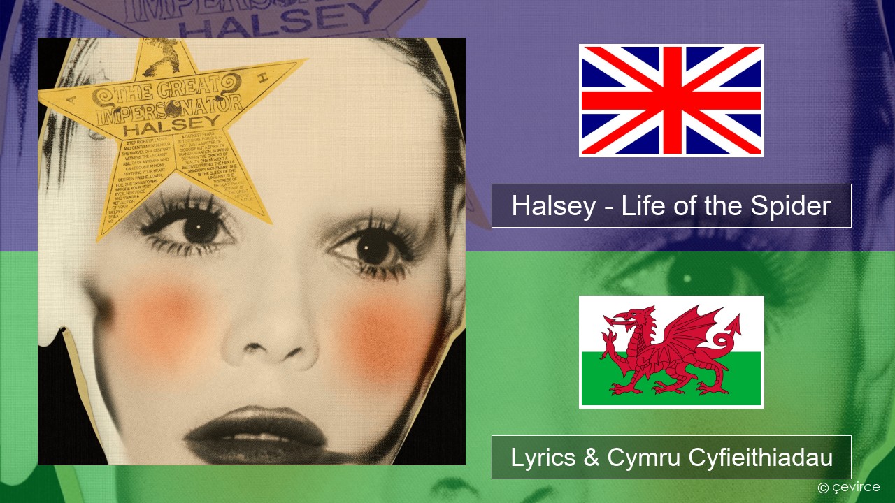 Halsey – Life of the Spider (Draft) Saesneg Lyrics & Cymru Cyfieithiadau