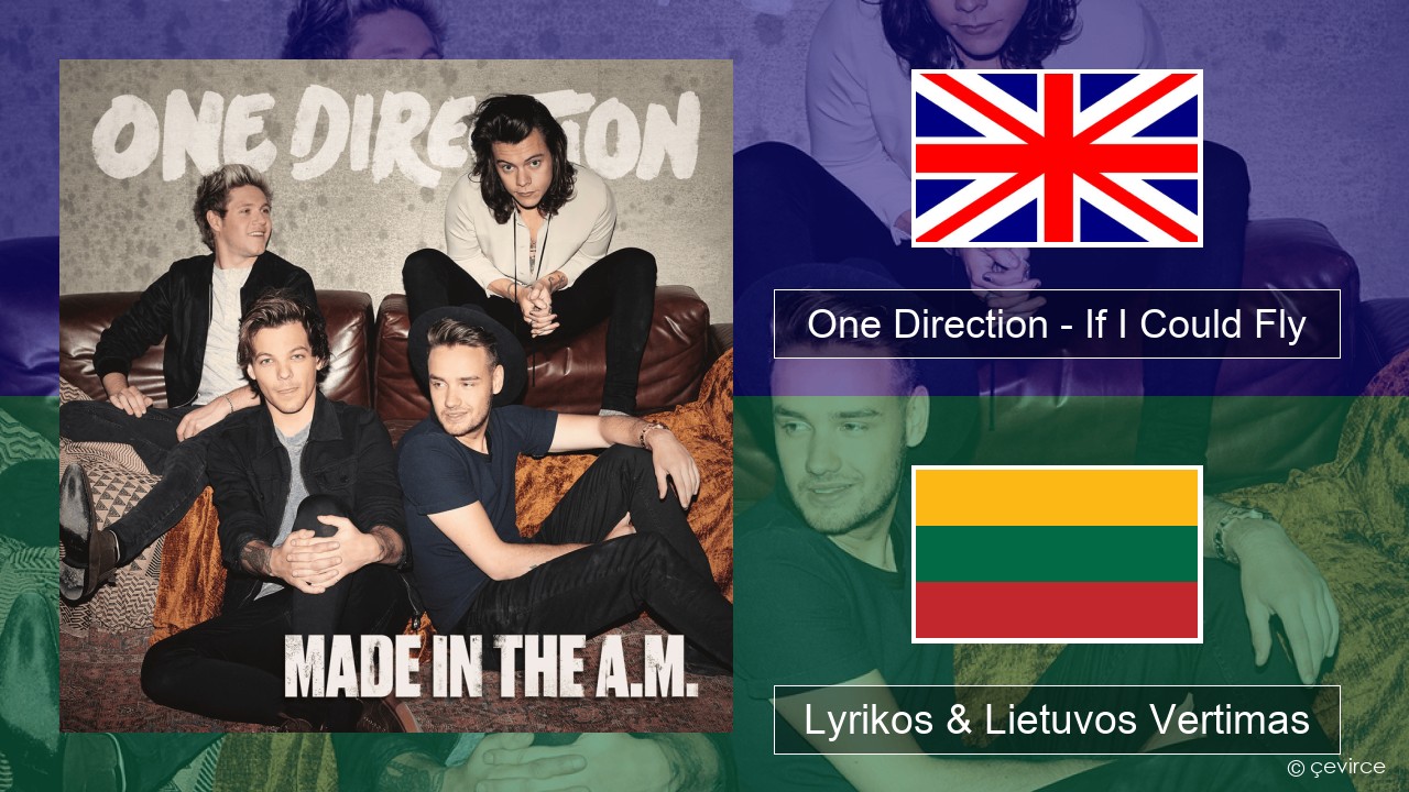 One Direction – If I Could Fly Anglų Lyrikos & Lietuvos Vertimas