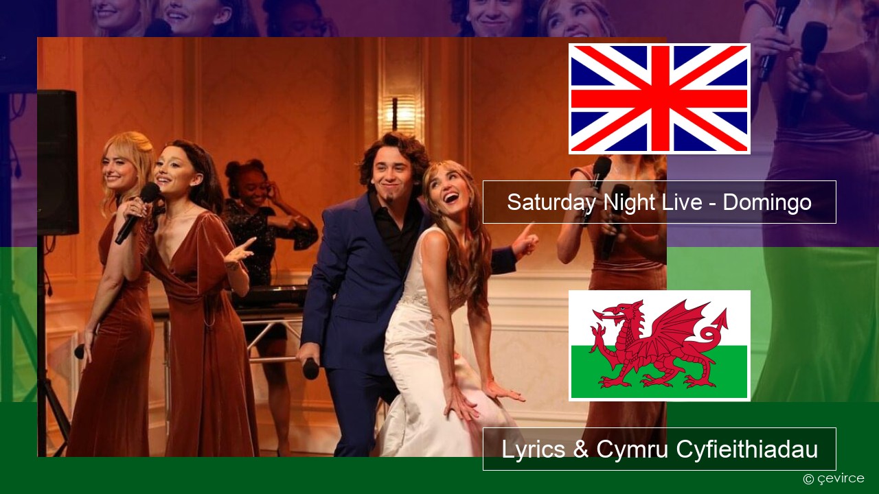 Saturday Night Live – Domingo (Bridesmaids Speech) Saesneg Lyrics & Cymru Cyfieithiadau