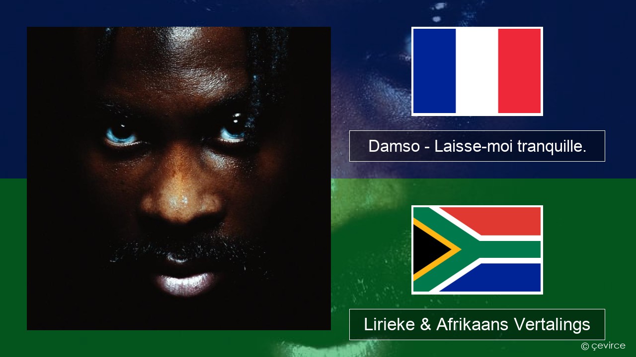 Damso – Laisse-moi tranquille. Franse Lirieke & Afrikaans Vertalings