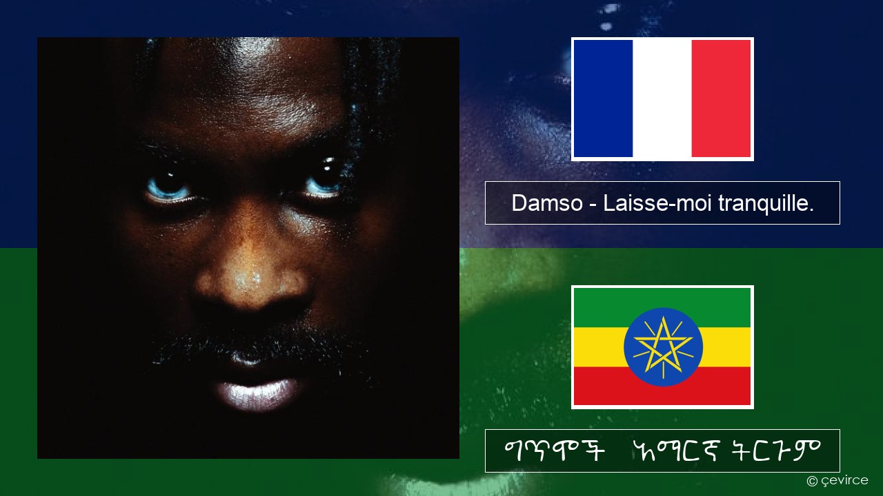 Damso – Laisse-moi tranquille. የፈረንሳ ይ ግጥሞች & አማርኛ ትርጉም