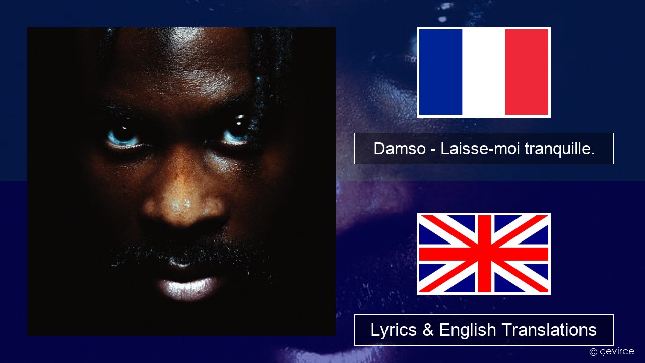Damso – Laisse-moi tranquille. French Lyrics & English Translations