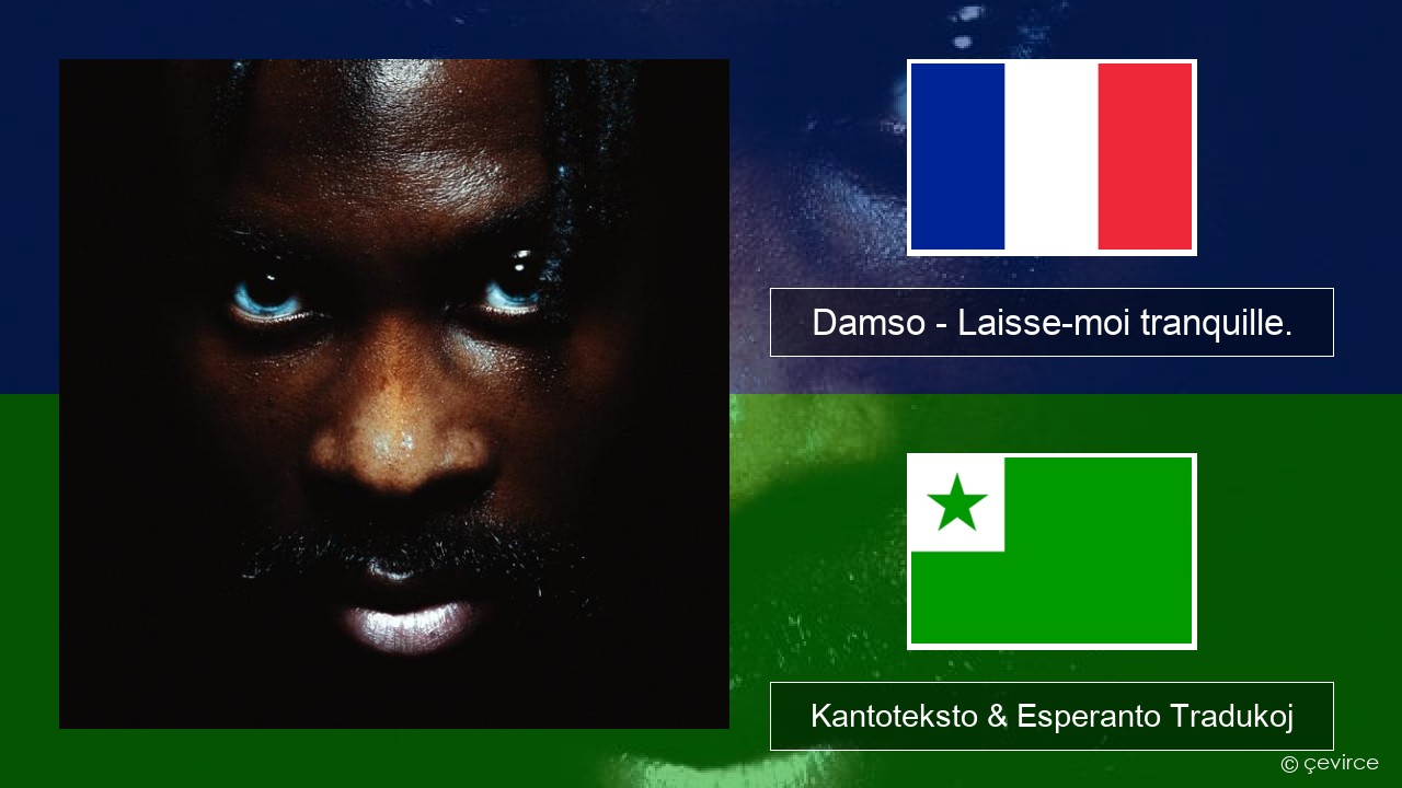 Damso – Laisse-moi tranquille. La franca Kantoteksto & Esperanto Tradukoj
