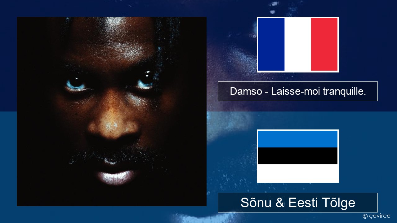 Damso – Laisse-moi tranquille. Prantsuse Sõnu & Eesti Tõlge