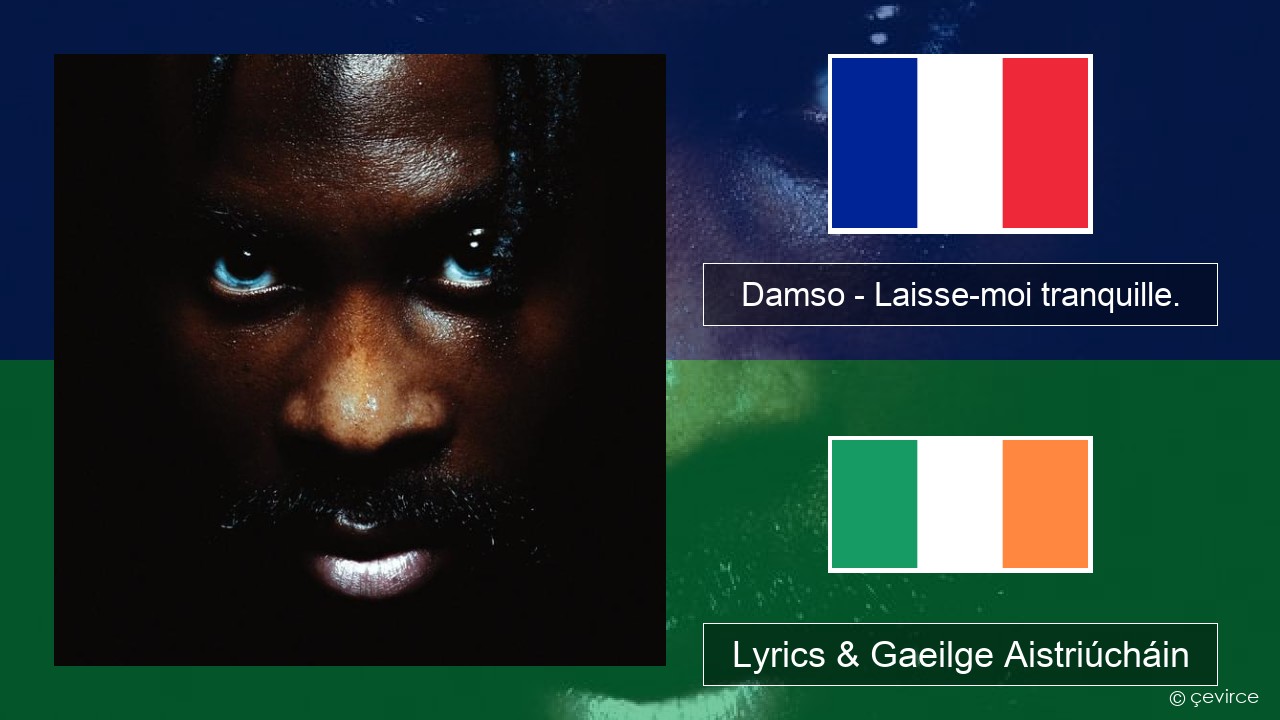 Damso – Laisse-moi tranquille. Fraincis Lyrics & Gaeilge Aistriúcháin