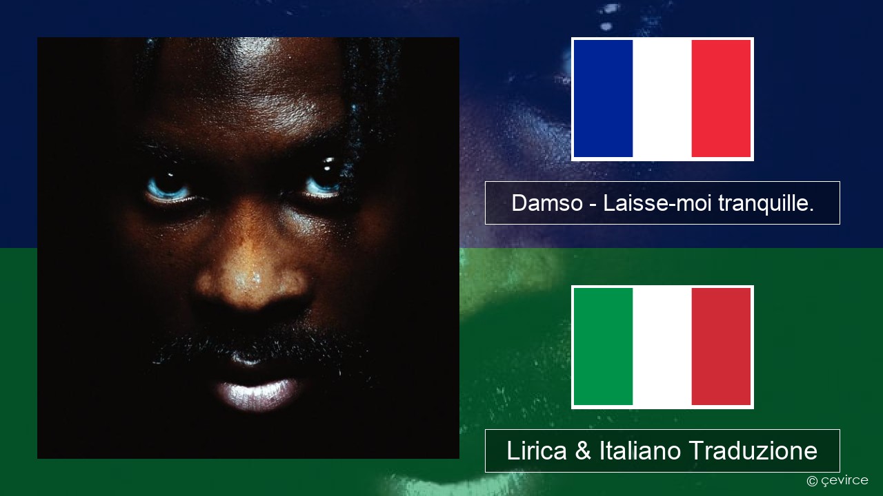 Damso – Laisse-moi tranquille. Francese Lirica & Italiano Traduzione