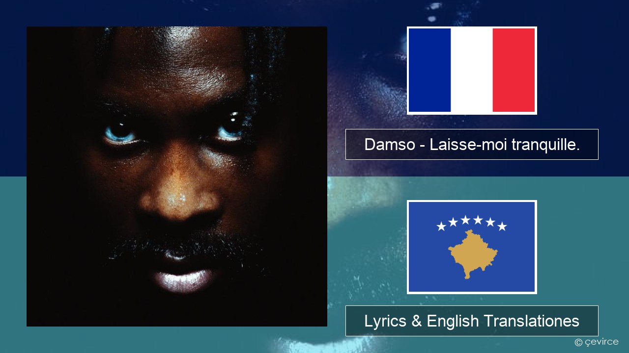 Damso – Laisse-moi tranquille. Galli Lyrics & English Translationes