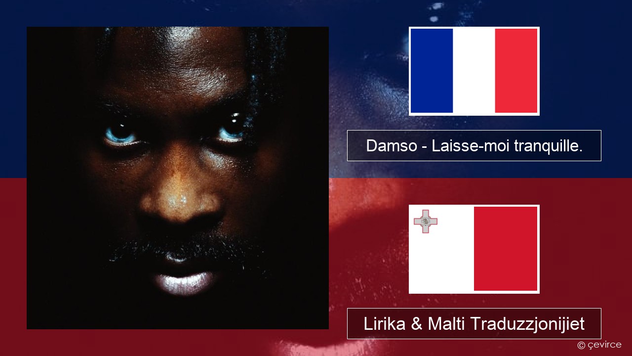 Damso – Laisse-moi tranquille. Franċiż Lirika & Malti Traduzzjonijiet