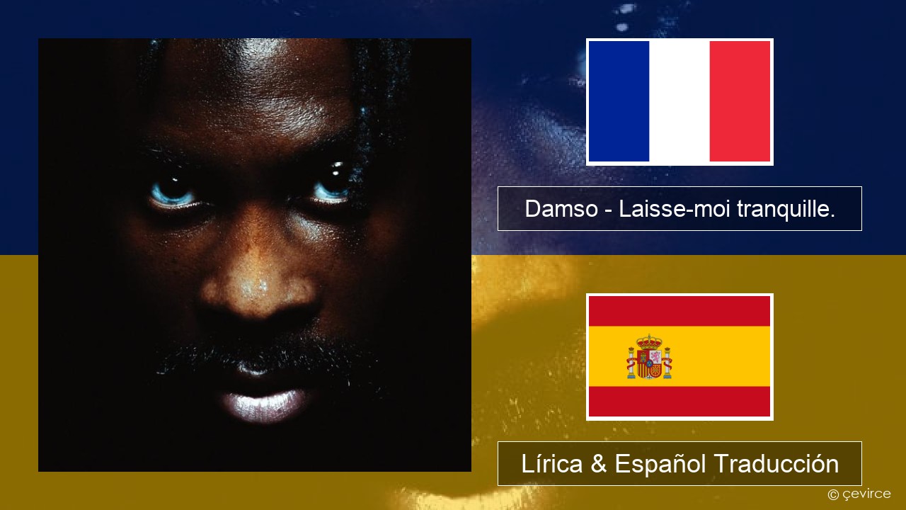 Damso – Laisse-moi tranquille. Francés Lírica & Español Traducción