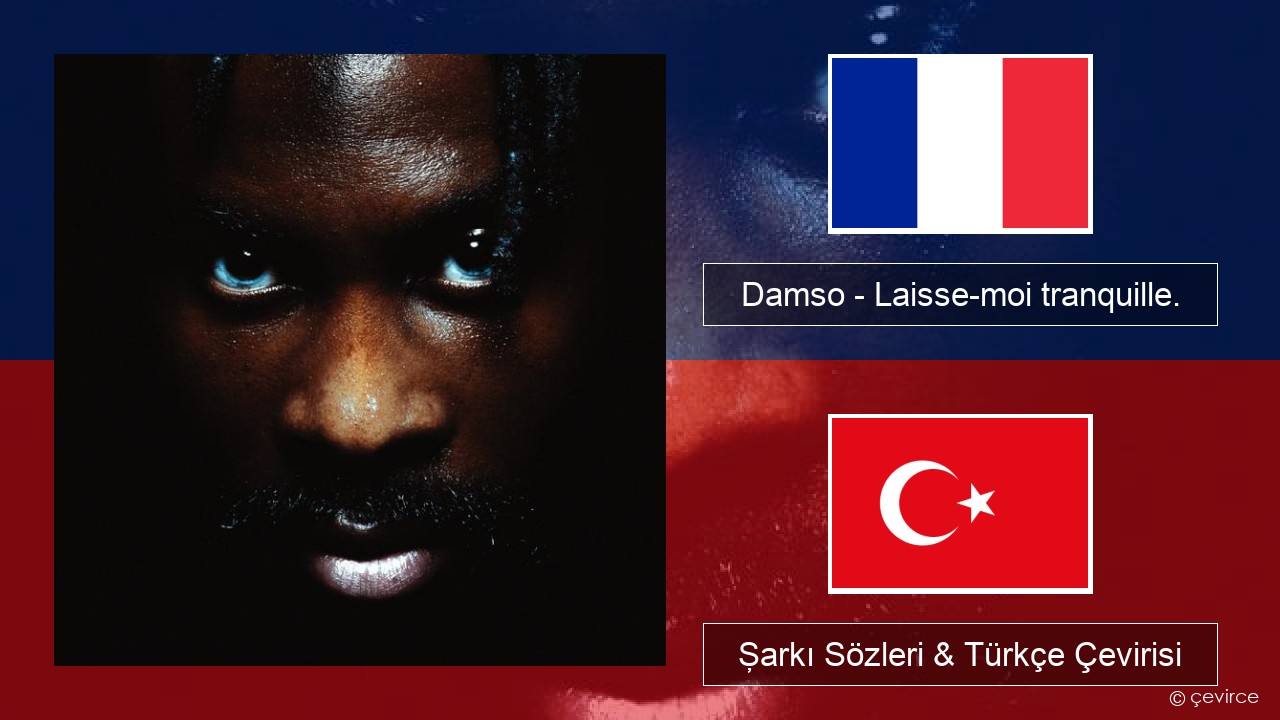 Damso – Laisse-moi tranquille. Fransızca Şarkı Sözleri & Türkçe Çevirisi