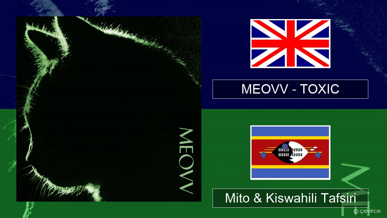 MEOVV (미야오) – TOXIC Englishen Mito & Kiswahili Tafsiri