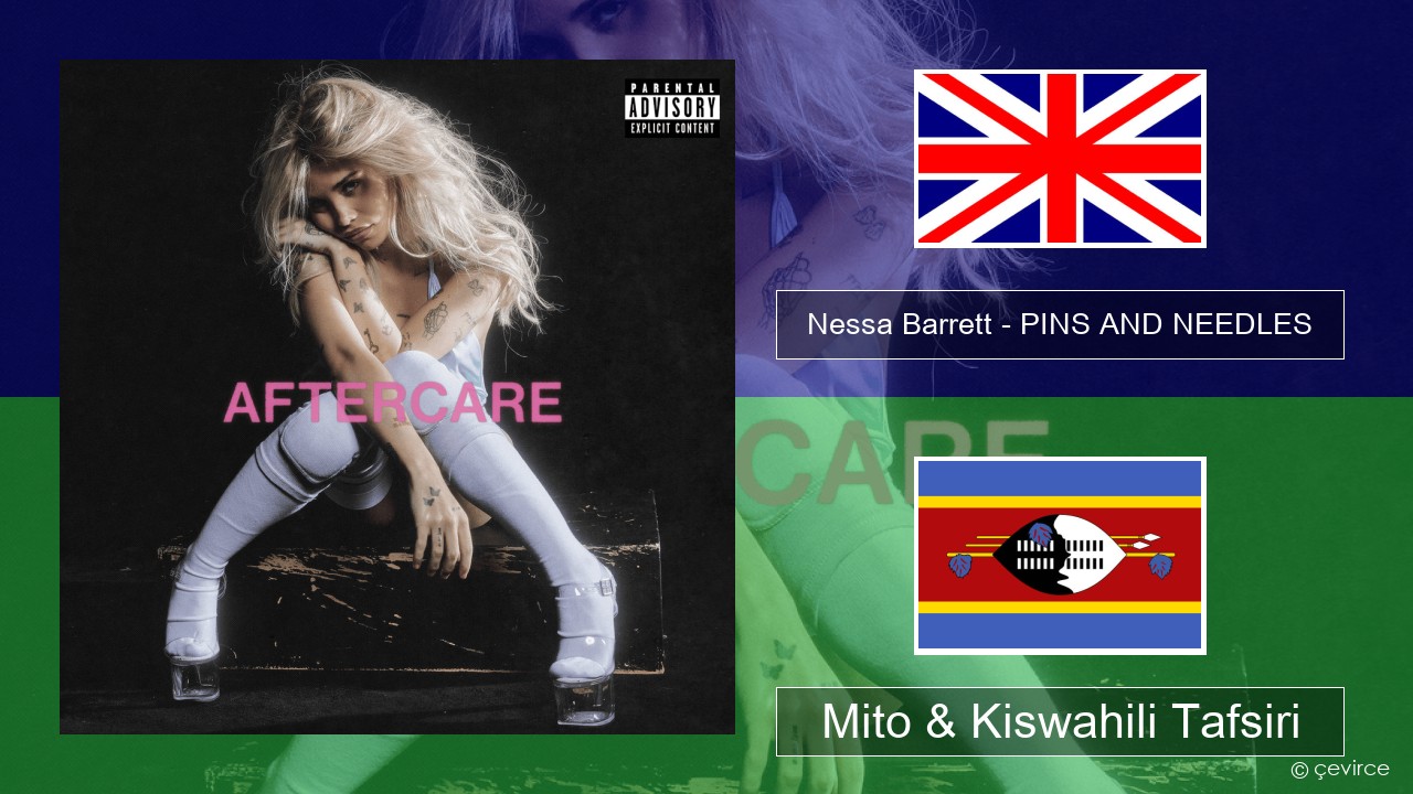 Nessa Barrett – PINS AND NEEDLES Englishen Mito & Kiswahili Tafsiri
