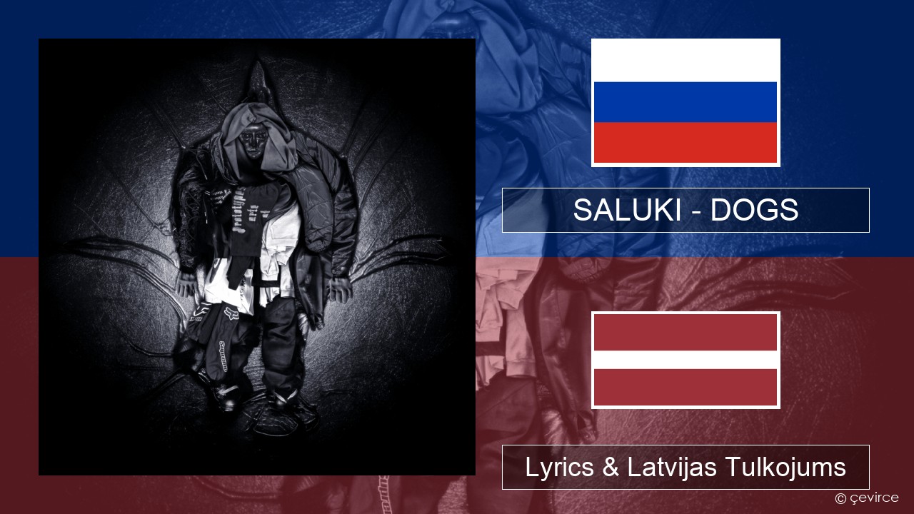 SALUKI – DOGS Krievu Lyrics & Latvijas Tulkojums
