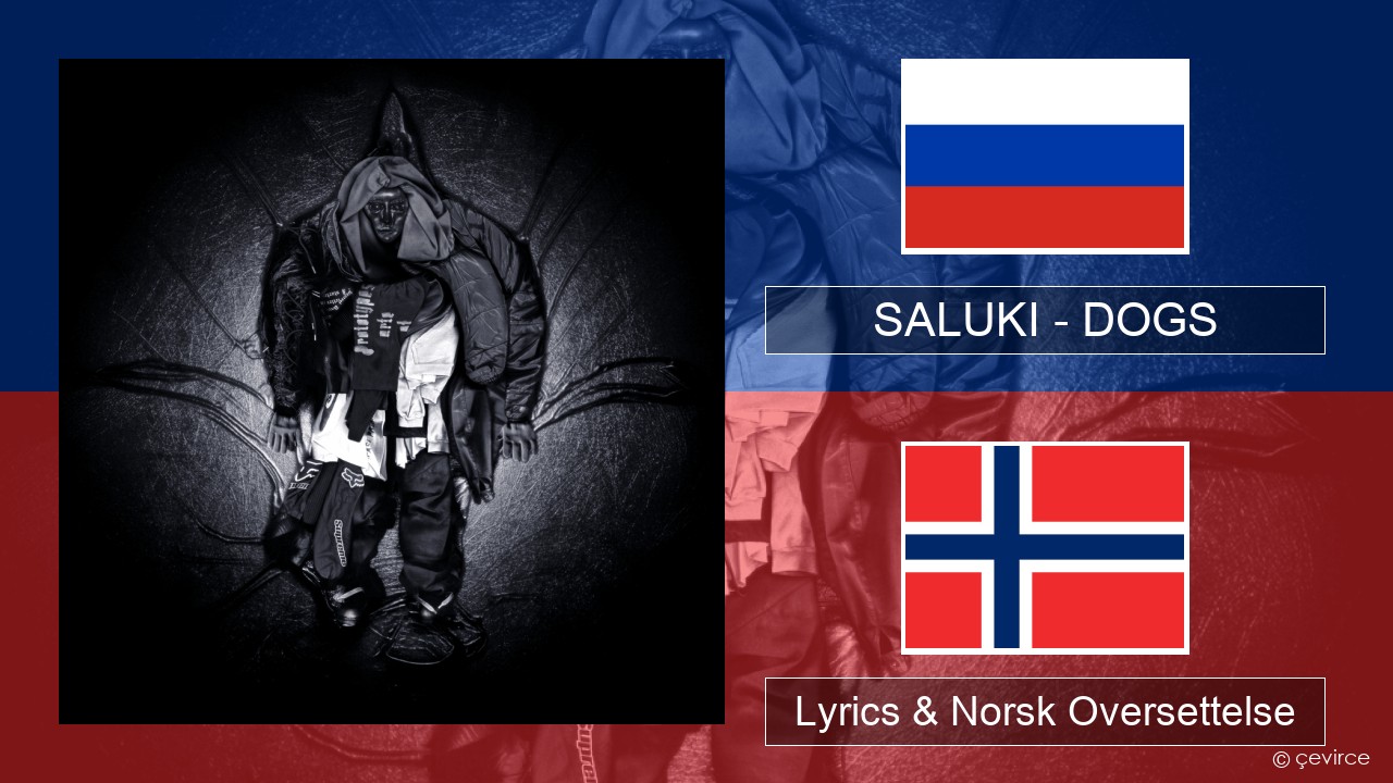 SALUKI – DOGS Russisk Lyrics & Norsk Oversettelse