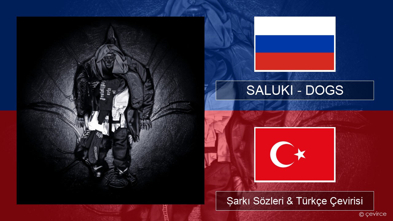 SALUKI – DOGS Rusça Şarkı Sözleri & Türkçe Çevirisi