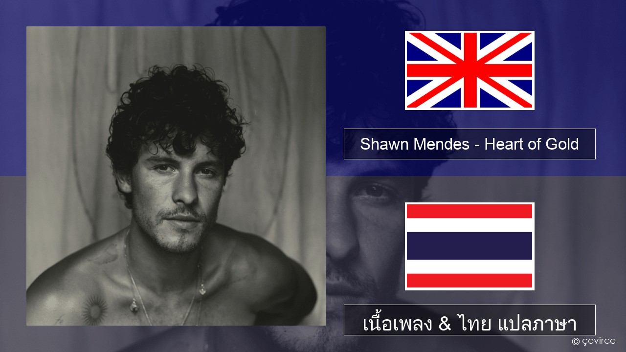 Shawn Mendes – Heart of Gold ภาษาไทย เนื้อเพลง & ไทย แปลภาษา