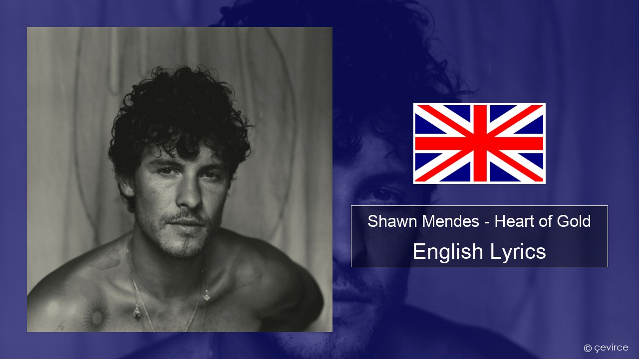Shawn Mendes – Heart of Gold English Lyrics