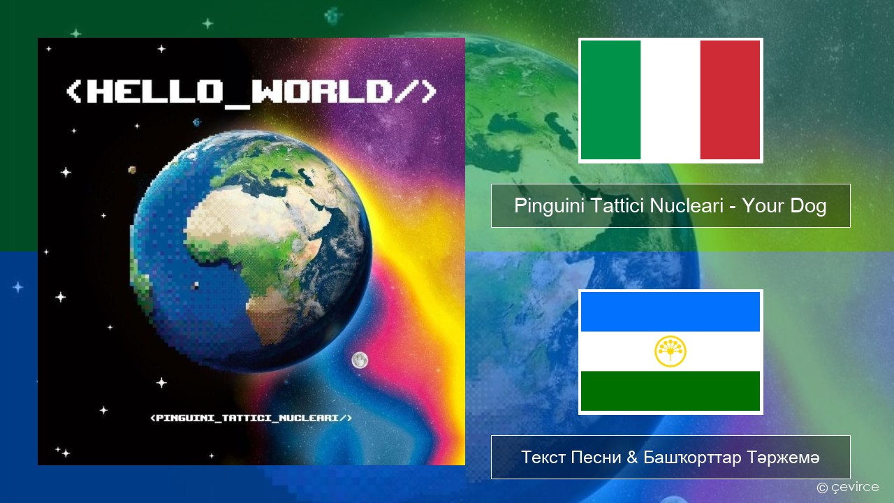 Pinguini Tattici Nucleari – Your Dog Италия Текст Песни & Башҡорттар Тәржемә
