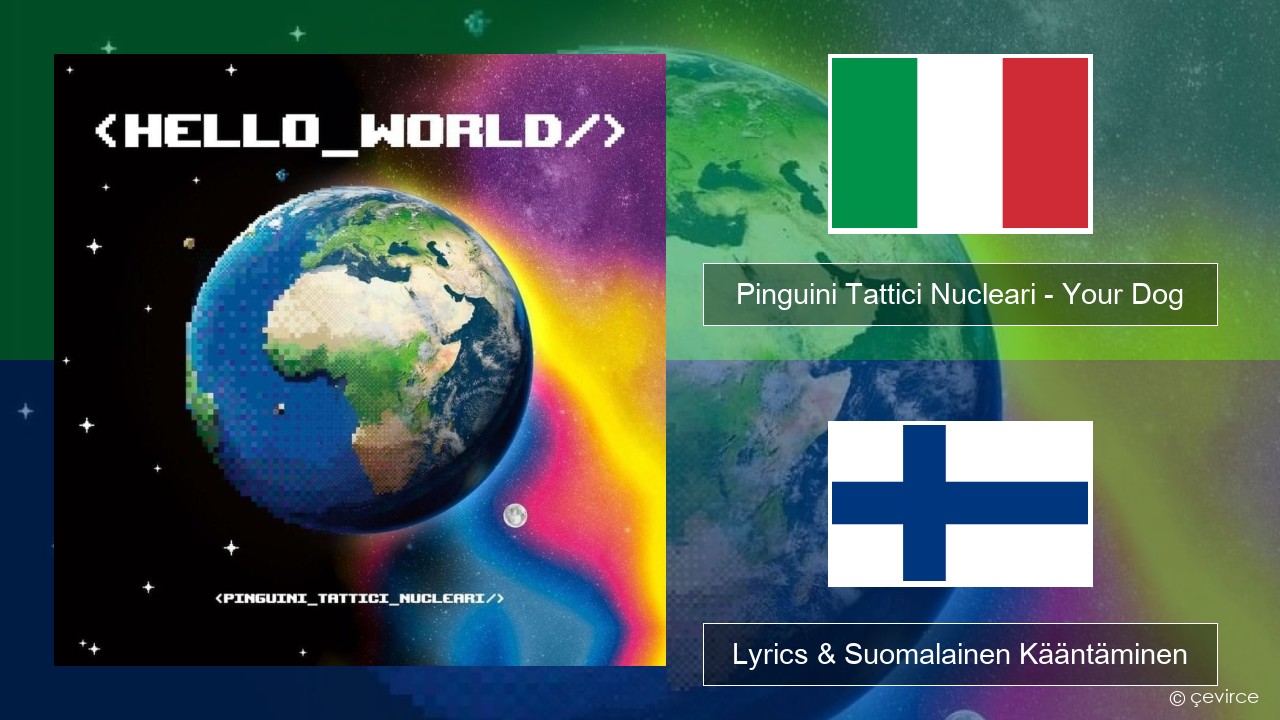 Pinguini Tattici Nucleari – Your Dog Italia Lyrics & Suomalainen Kääntäminen