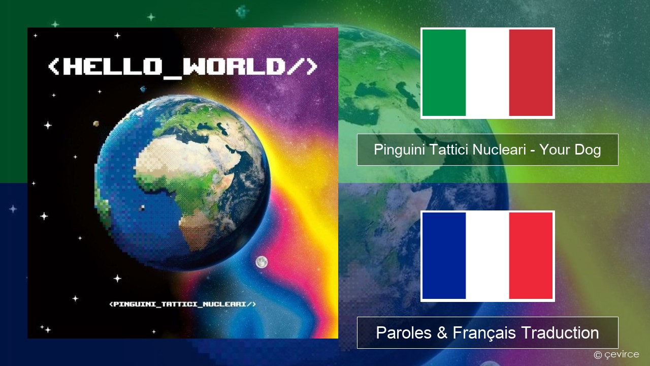Pinguini Tattici Nucleari – Your Dog Italien Paroles & Français Traduction