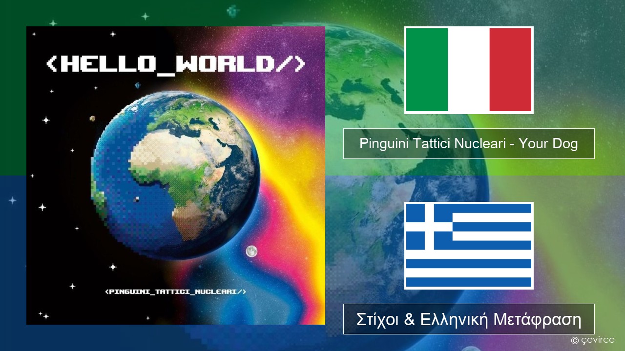 Pinguini Tattici Nucleari – Your Dog Ιταλική Στίχοι & Ελληνική Μετάφραση