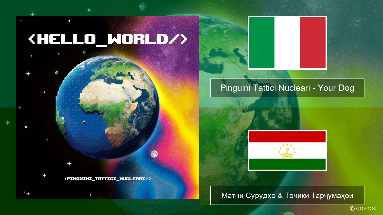 Pinguini Tattici Nucleari – Your Dog Итолиевӣ Матни Сурудҳо & Тоҷикӣ Тарҷумаҳои