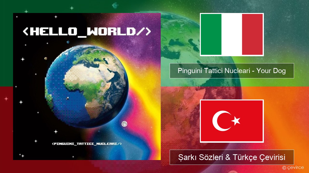 Pinguini Tattici Nucleari – Your Dog İtalyanca Şarkı Sözleri & Türkçe Çevirisi