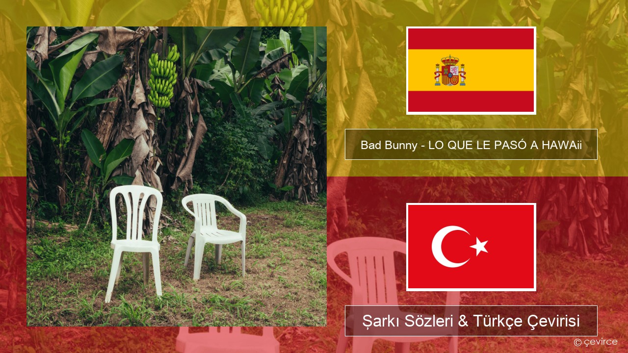 Bad Bunny – LO QUE LE PASÓ A HAWAii İspanyolca Şarkı Sözleri & Türkçe Çevirisi