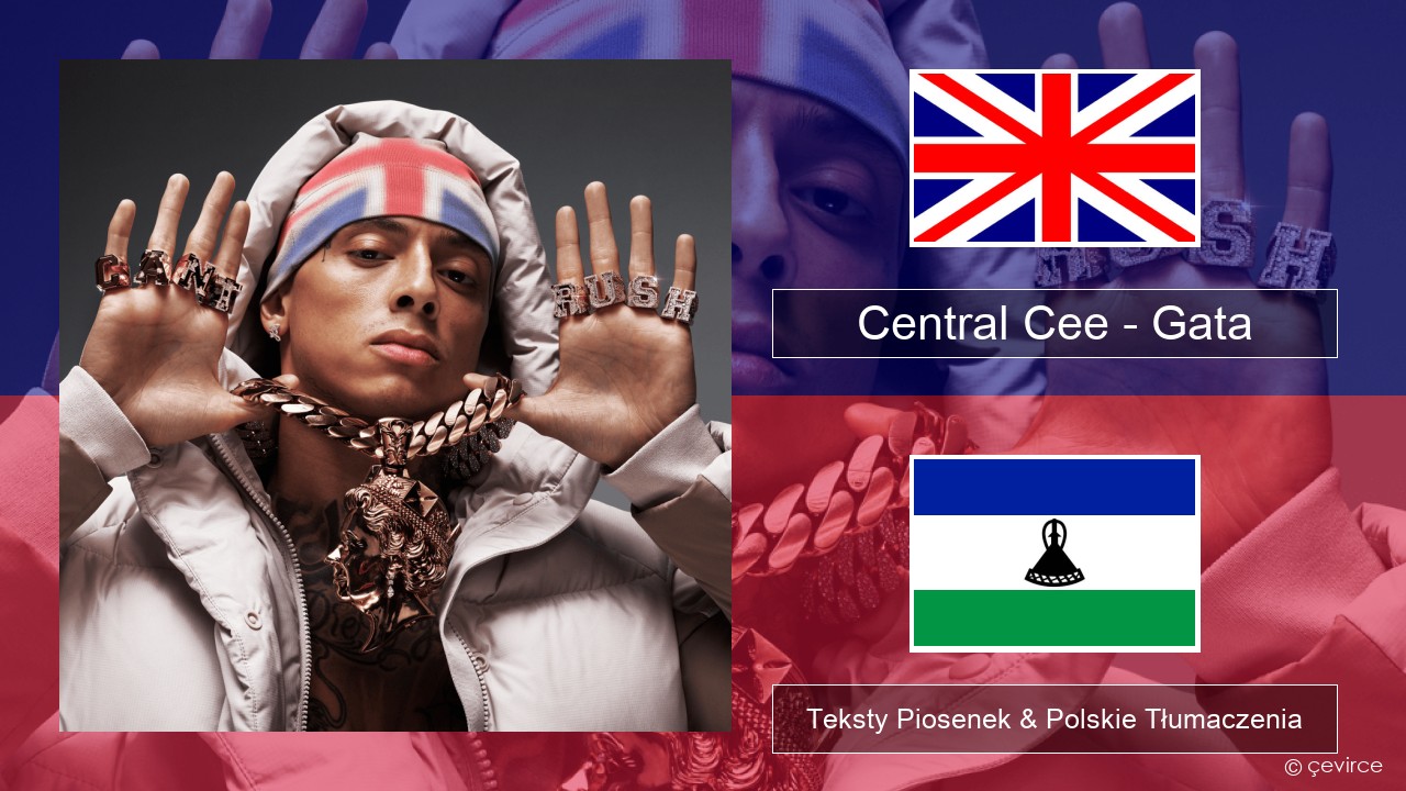 Central Cee – Gata Polski Teksty Piosenek & Polskie Tłumaczenia