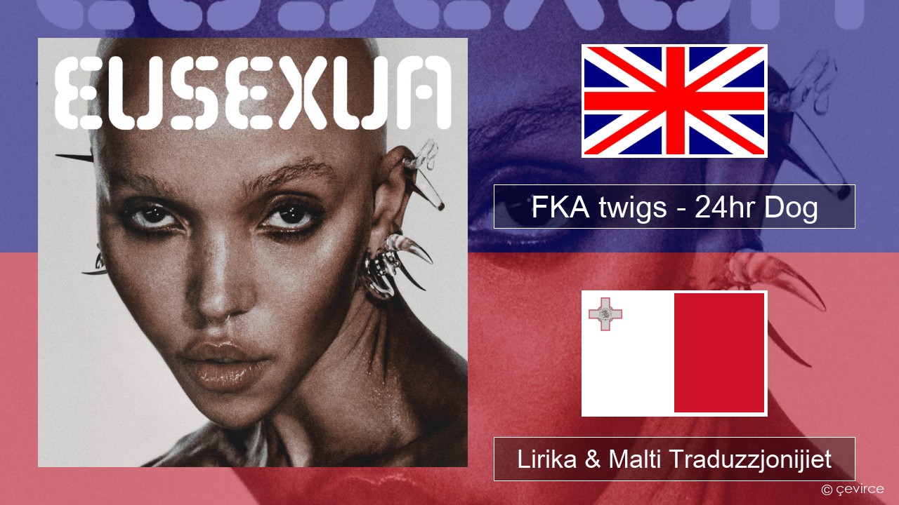 FKA twigs – 24hr Dog Ingliż Lirika & Malti Traduzzjonijiet