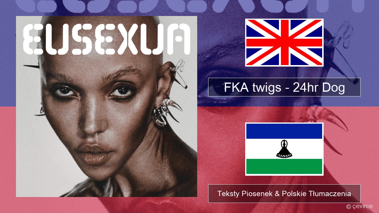 FKA twigs – 24hr Dog Polski Teksty Piosenek & Polskie Tłumaczenia
