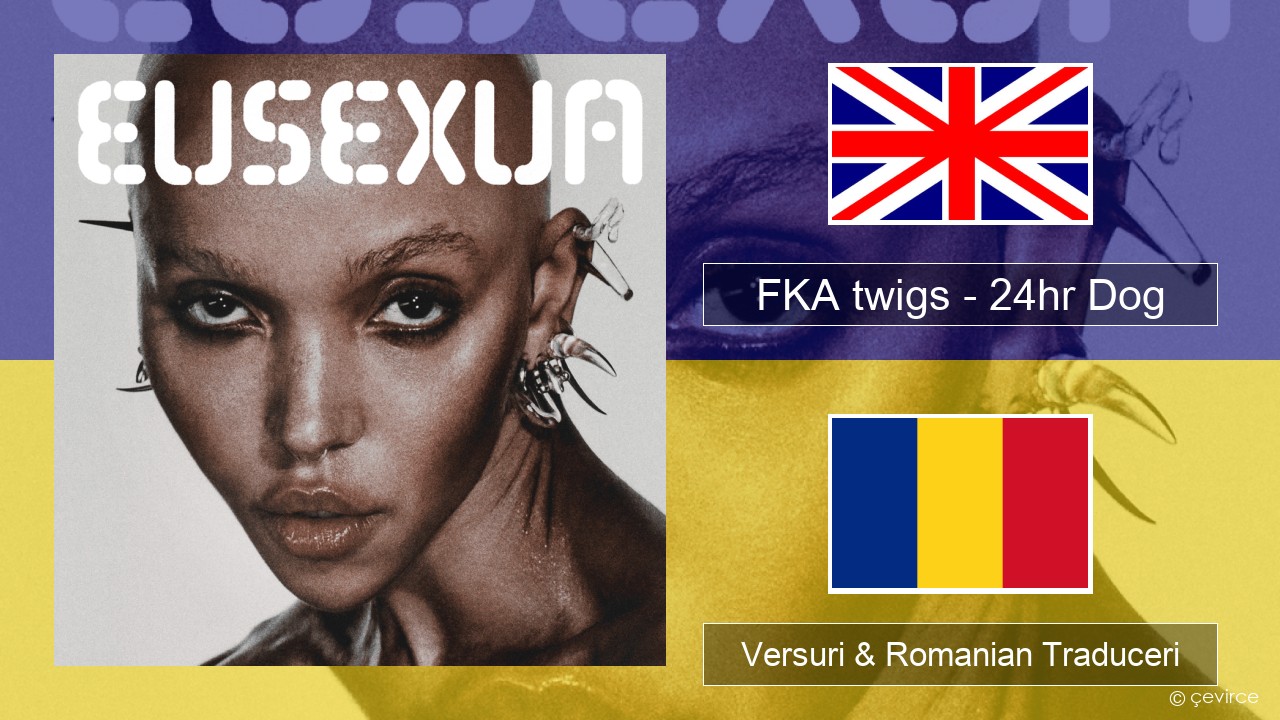 FKA twigs – 24hr Dog Română Versuri & Romanian Traduceri
