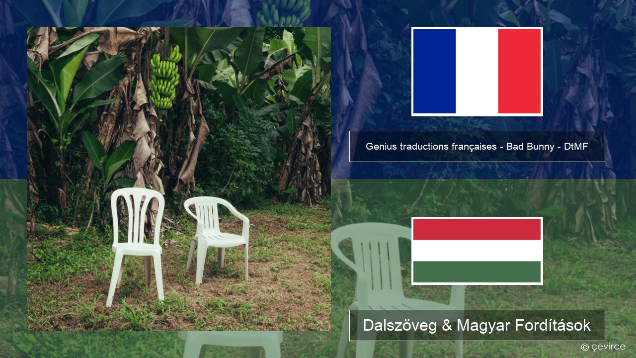 Genius traductions françaises – Bad Bunny – DtMF (Traduction française) Francia Dalszöveg & Magyar Fordítások