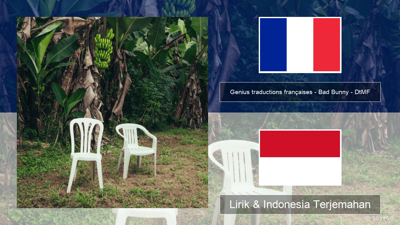 Genius traductions françaises – Bad Bunny – DtMF (Traduction française) Prancis Lirik & Indonesia Terjemahan