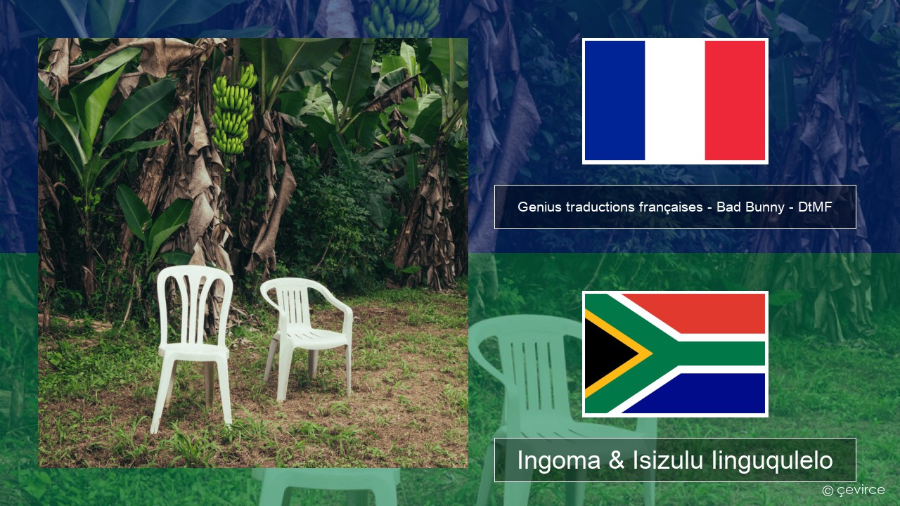 Genius traductions françaises – Bad Bunny – DtMF (Traduction française) Isifrentshi Ingoma & Isizulu Iinguqulelo