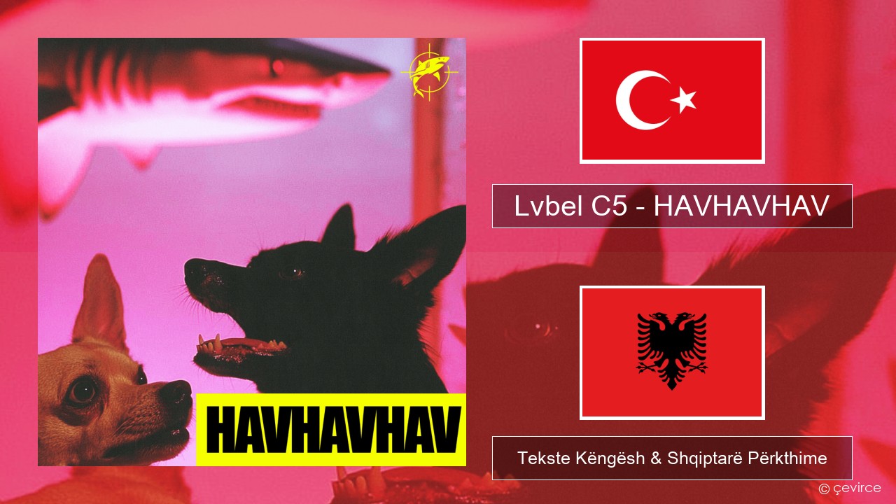 Lvbel C5 – HAVHAVHAV Turqisht Tekste Këngësh & Shqiptarë Përkthime