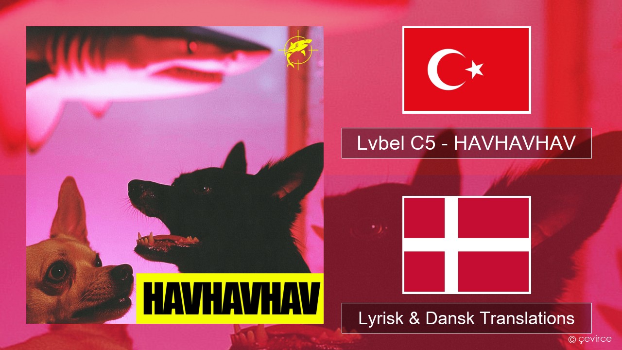 Lvbel C5 – HAVHAVHAV Tyrkisk Lyrisk & Dansk Translations