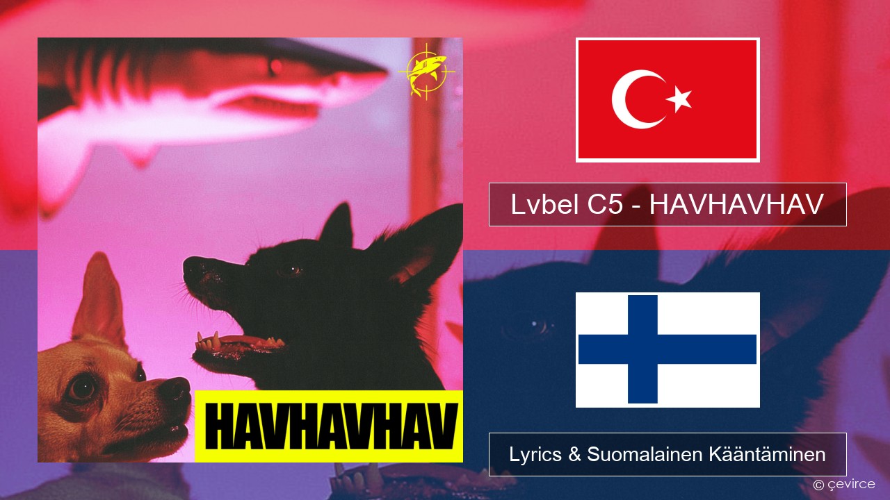 Lvbel C5 – HAVHAVHAV Turkkilainen Lyrics & Suomalainen Kääntäminen