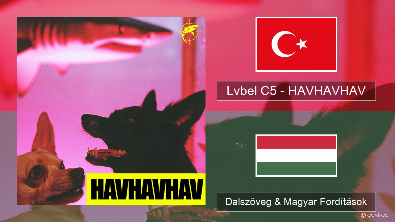 Lvbel C5 – HAVHAVHAV Török Dalszöveg & Magyar Fordítások