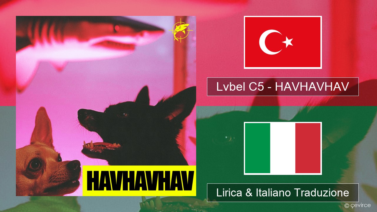 Lvbel C5 – HAVHAVHAV Turchia Lirica & Italiano Traduzione