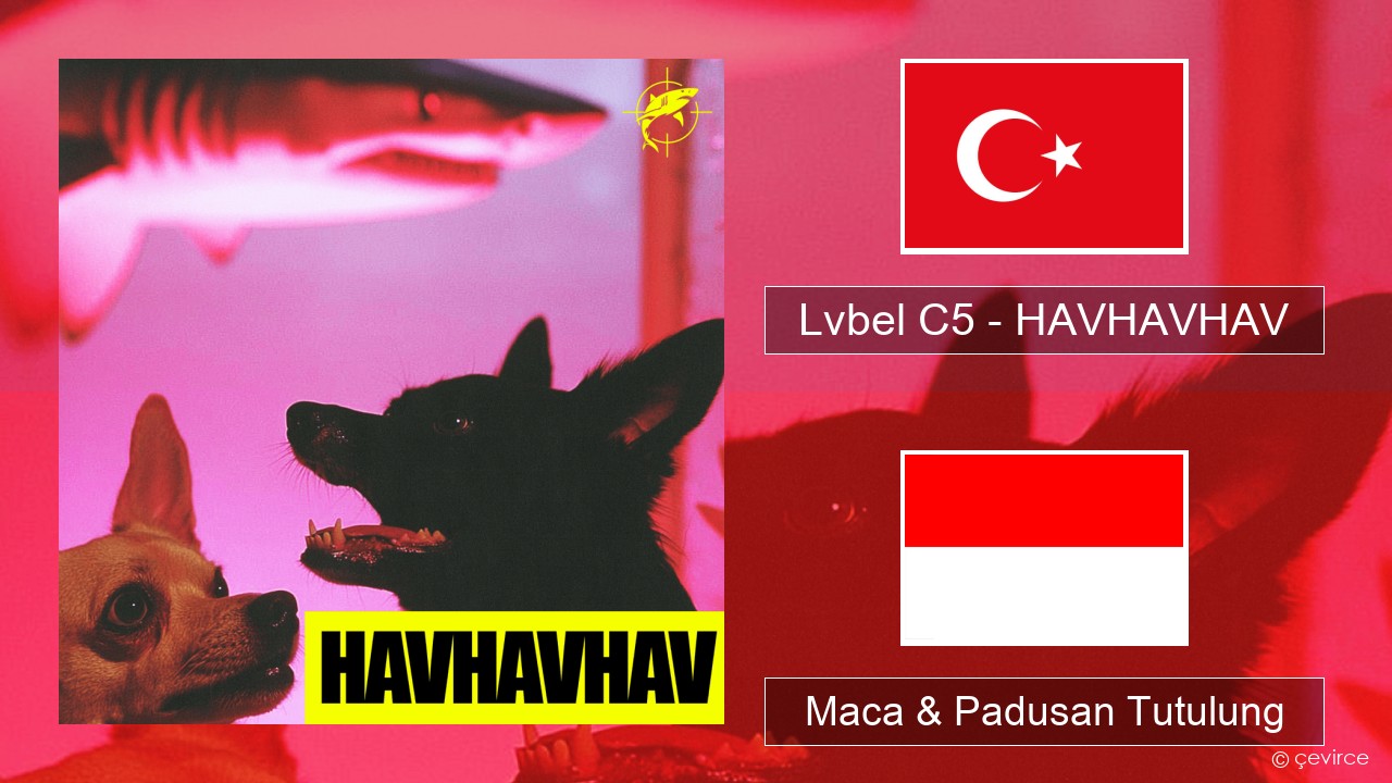 Lvbel C5 – HAVHAVHAV Druzi Maca & Padusan Tutulung