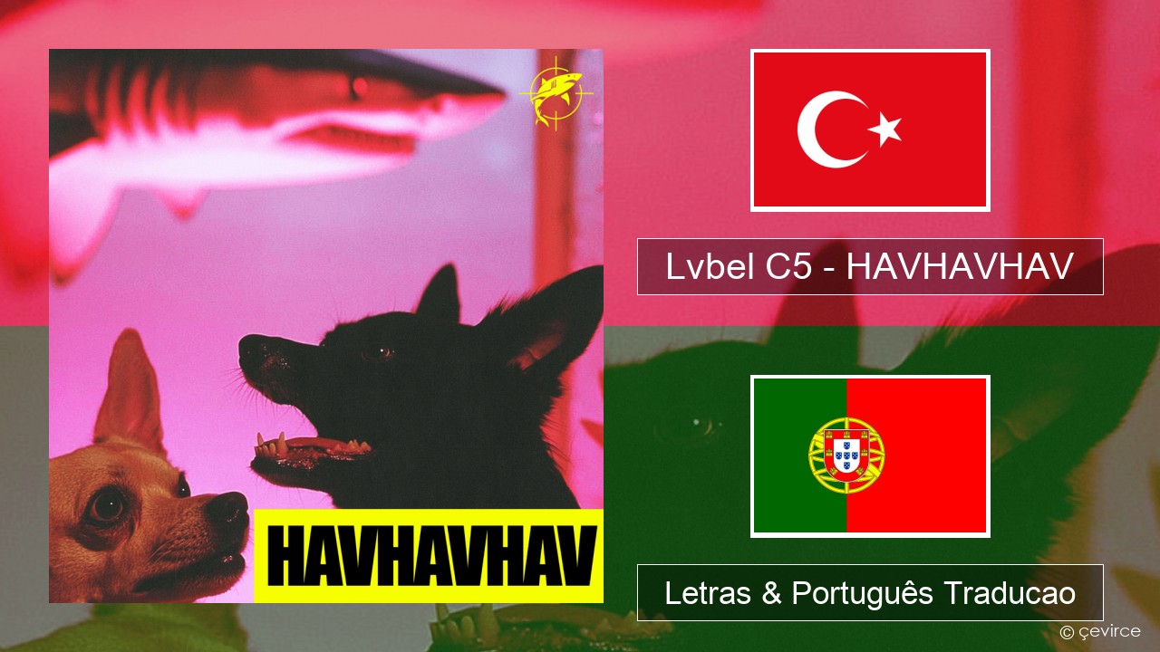 Lvbel C5 – HAVHAVHAV Turco Letras & Português Traducao