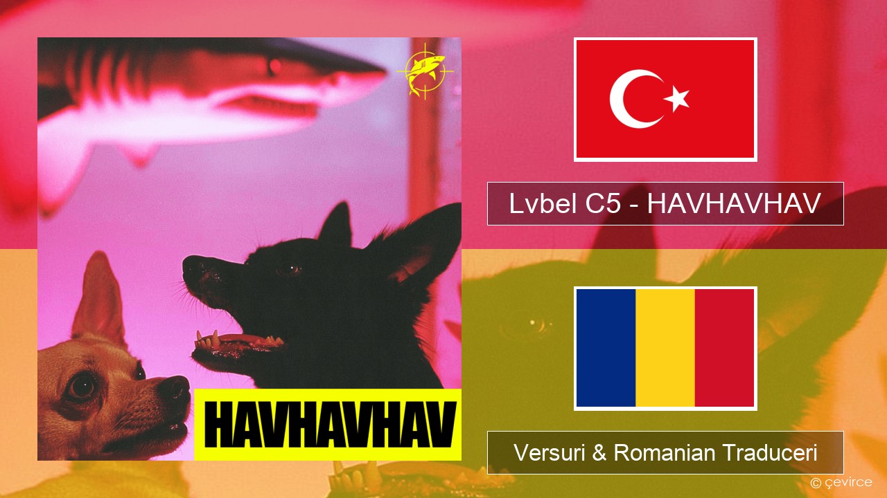 Lvbel C5 – HAVHAVHAV Turcă Versuri & Romanian Traduceri