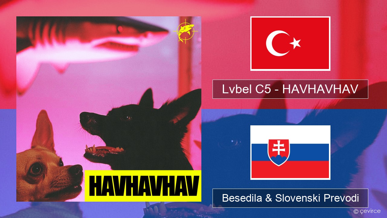 Lvbel C5 – HAVHAVHAV Turški Besedila & Slovenski Prevodi
