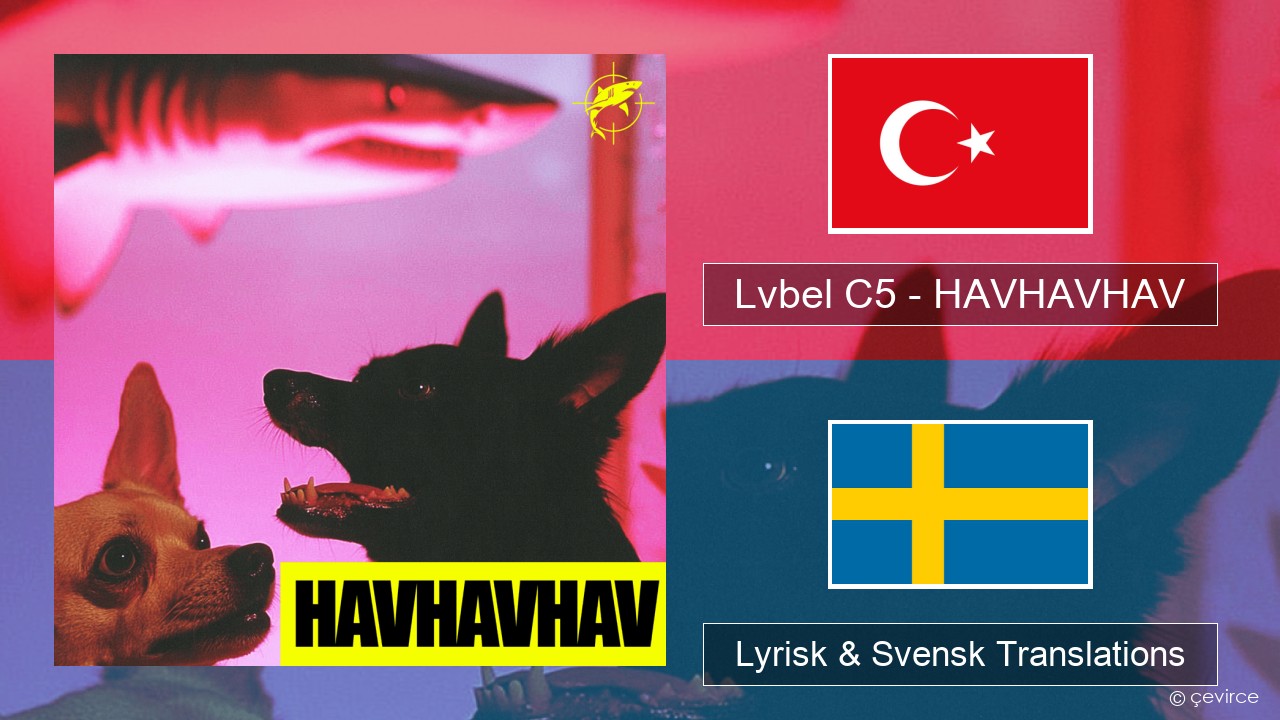 Lvbel C5 – HAVHAVHAV Turkisk Lyrisk & Svensk Translations
