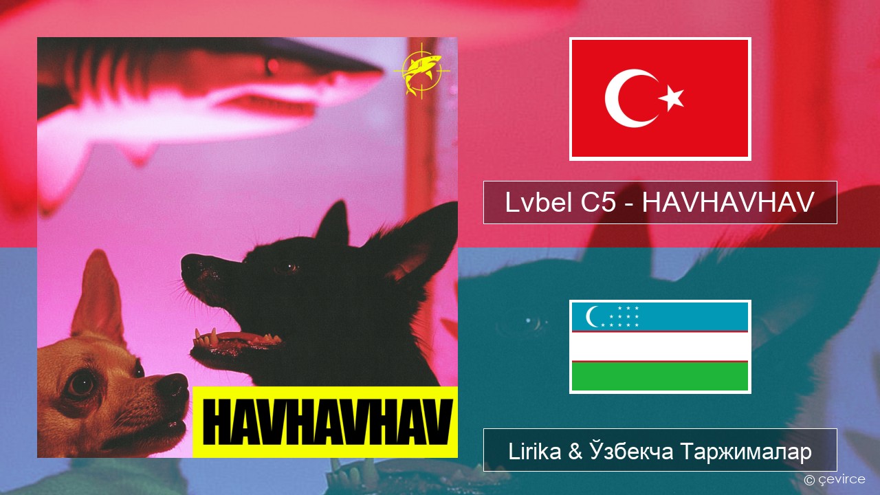 Lvbel C5 – HAVHAVHAV Turkey турк Lirika & Ўзбекча (Кирил) Таржималар