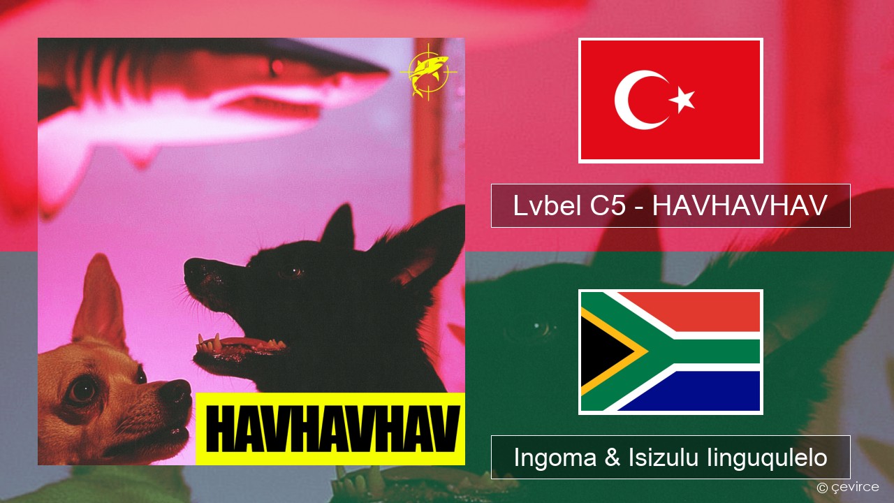 Lvbel C5 – HAVHAVHAV Isiturkish Ingoma & Isizulu Iinguqulelo