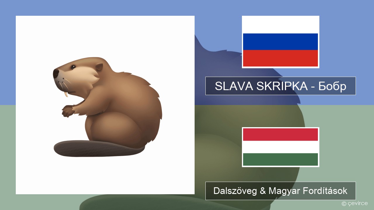 SLAVA SKRIPKA – Бобр (Beaver) Orosz Dalszöveg & Magyar Fordítások
