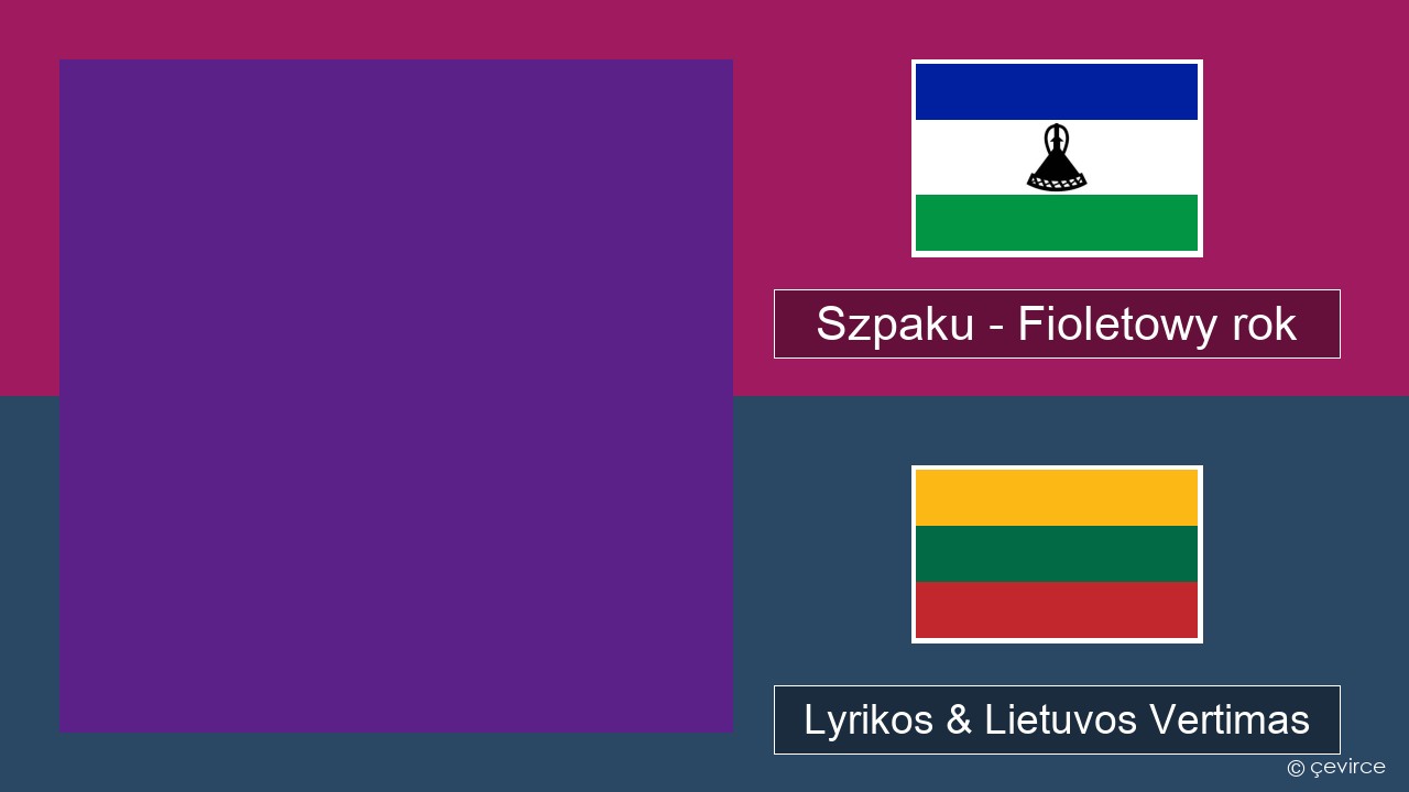 Szpaku – Fioletowy rok Lenkijos Lyrikos & Lietuvos Vertimas
