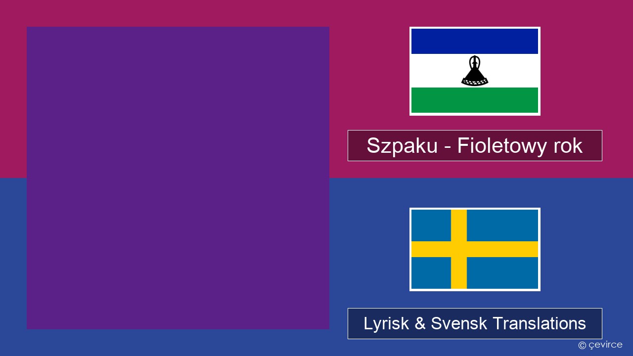 Szpaku – Fioletowy rok Polens Lyrisk & Svensk Translations